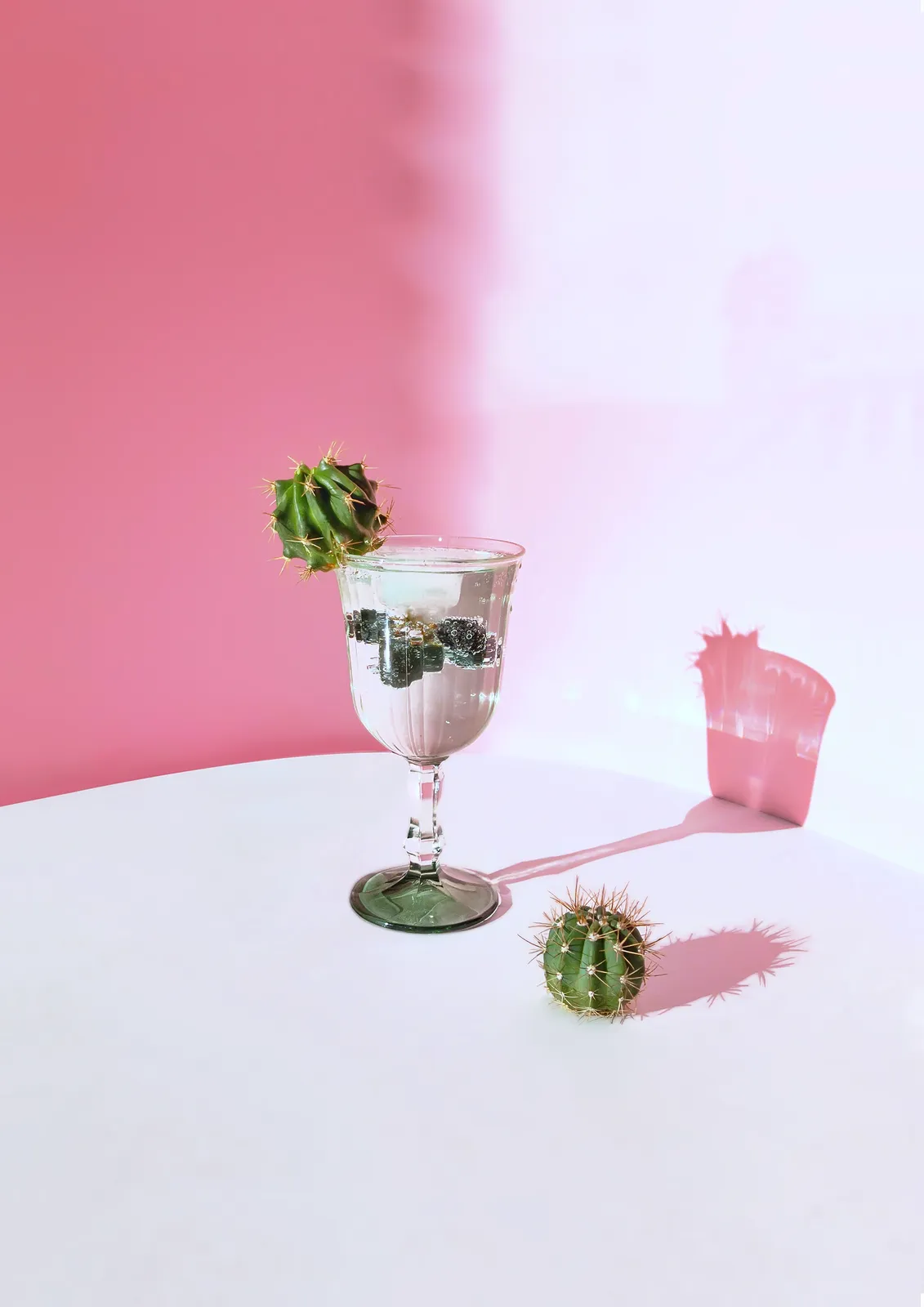 Cóctel de cactus